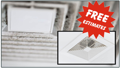 before and after cleaning